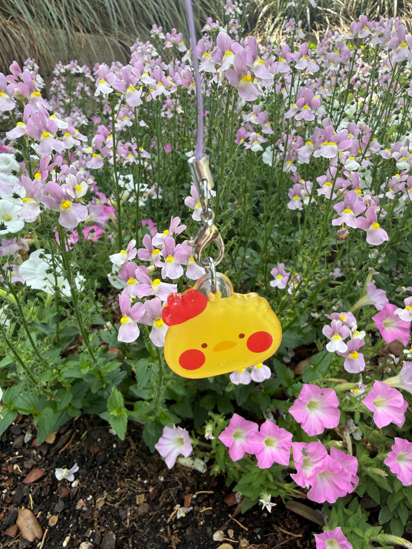 Duck Charm